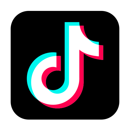 TikTok Followers ပြန်မကျ
