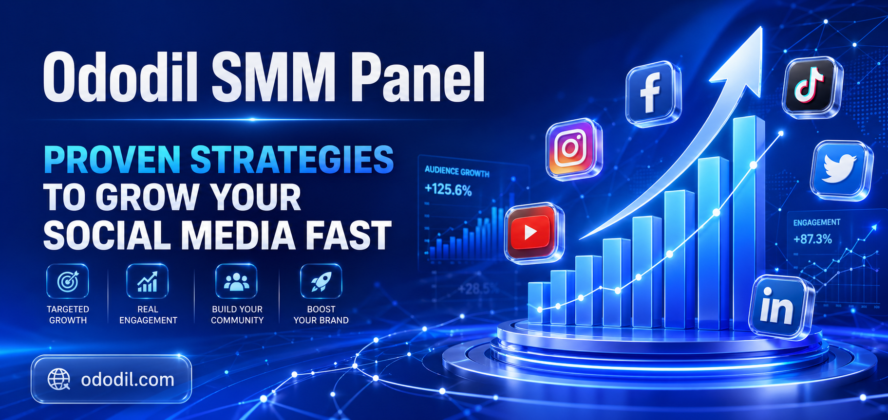 Proven Strategies to Grow Your Social Media Fast