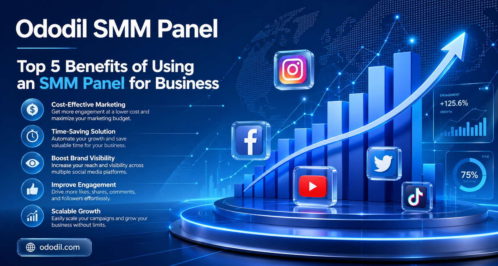 Top 5 Benefits of Using an SMM Panel for Business